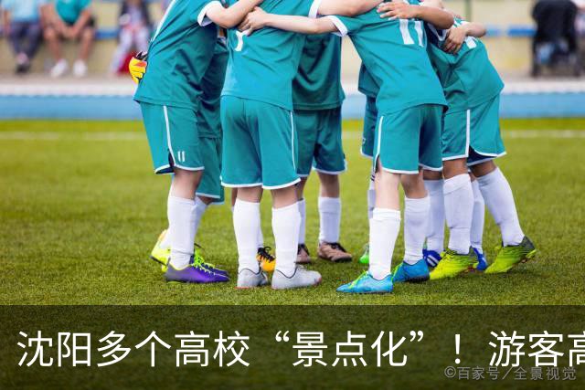 沈阳多个高校“景点化”！游客高兴，学生却懵了...